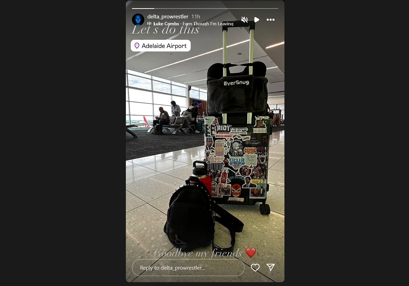 Screengrab of Delta's Instagram story